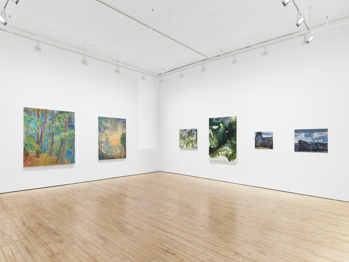 Installation view, Arcadia and Elsewhere, James Cohan, 52 Walker Street, NY, January 12 - February 10, 2024