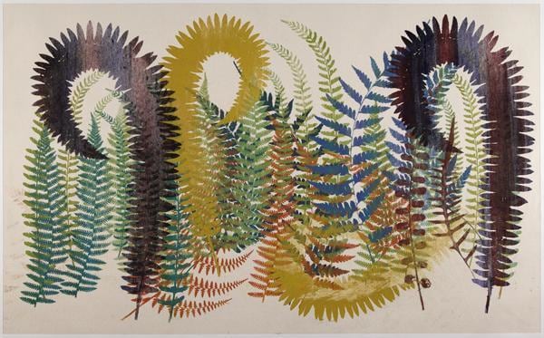 Image of PHILIP TAAFFE's 菲利普&bull;塔菲 Aspidium, Asplenium, Pteris 三叉蕨、铁角蕨、凤尾蕨, 2011