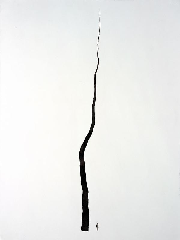 Image of ROXY PAINE's Drawing for 100 Ft. Line, 2009