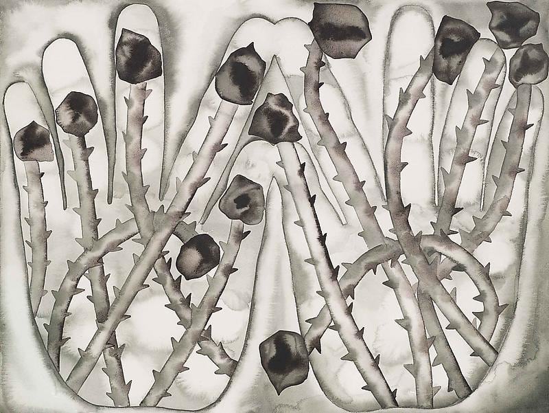 hands with a pattern of thorned plants