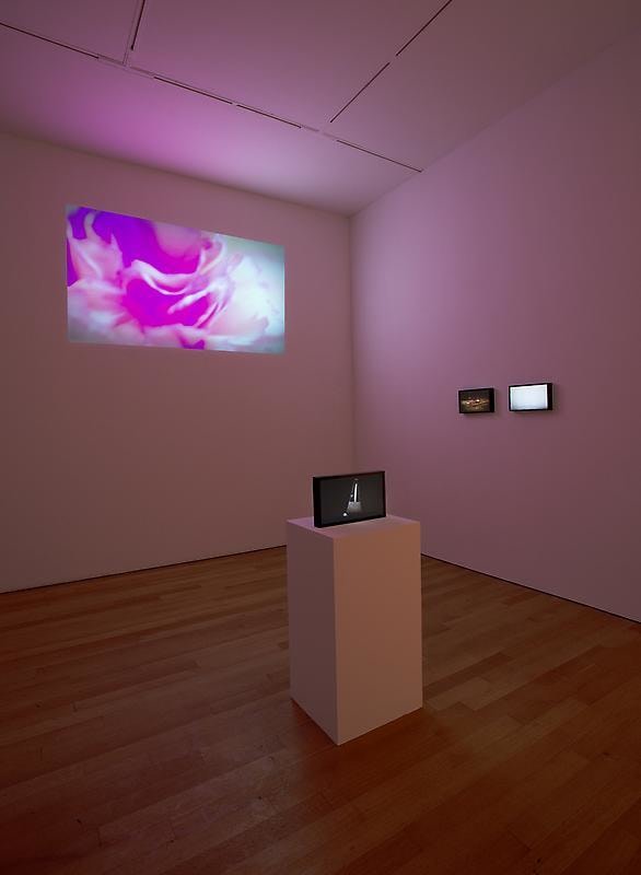 installation of several videos