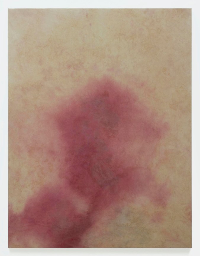 Abstract painting of pinkish dye and a beige background