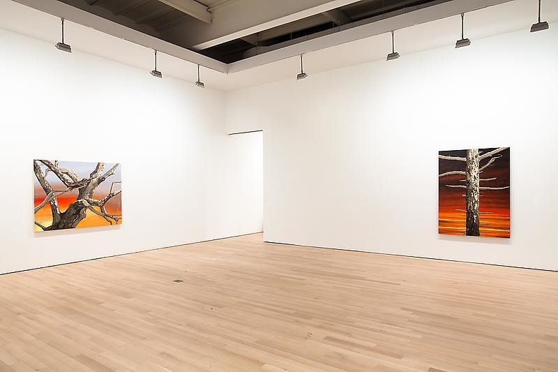 installation view of two artworks