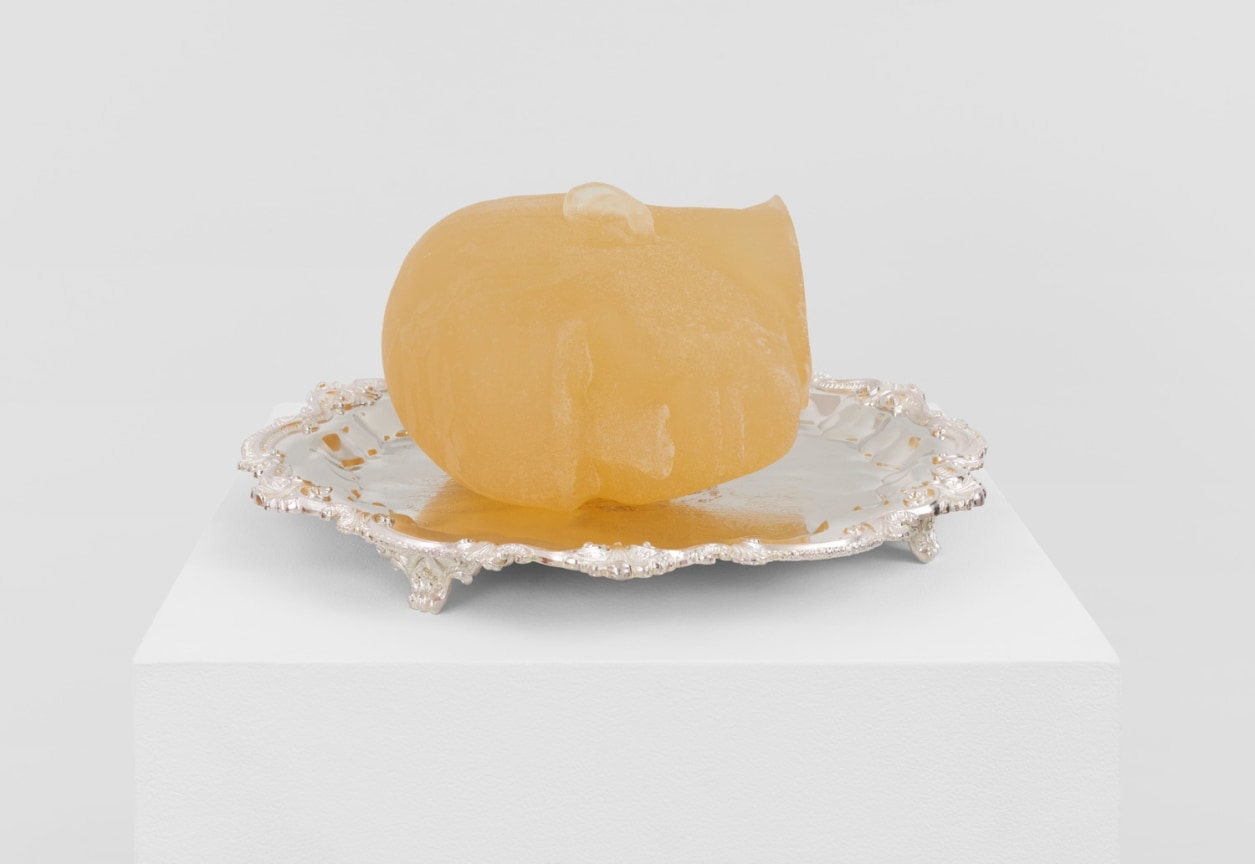 Image of CHRISTOPHER MYERS's Rather Bright Complexion, 2022