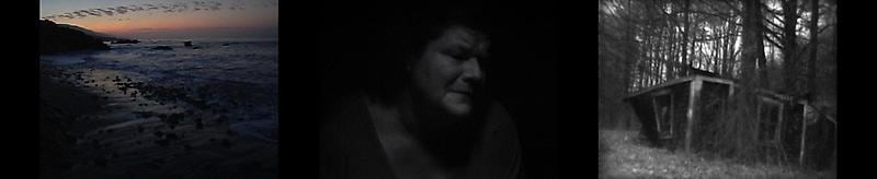 Image of BILL VIOLA's Poem B (The Guest House), 2006