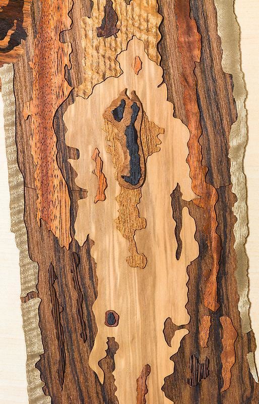 Detail of ALISON ELIZABETH TAYLOR Into the Wild, 2012