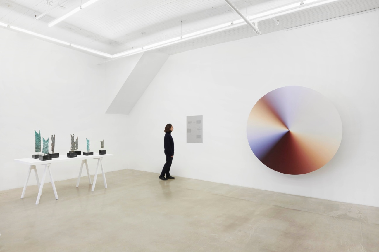 Installation view of group exhibition James Cohan: Twenty Years at 291 Grand Street