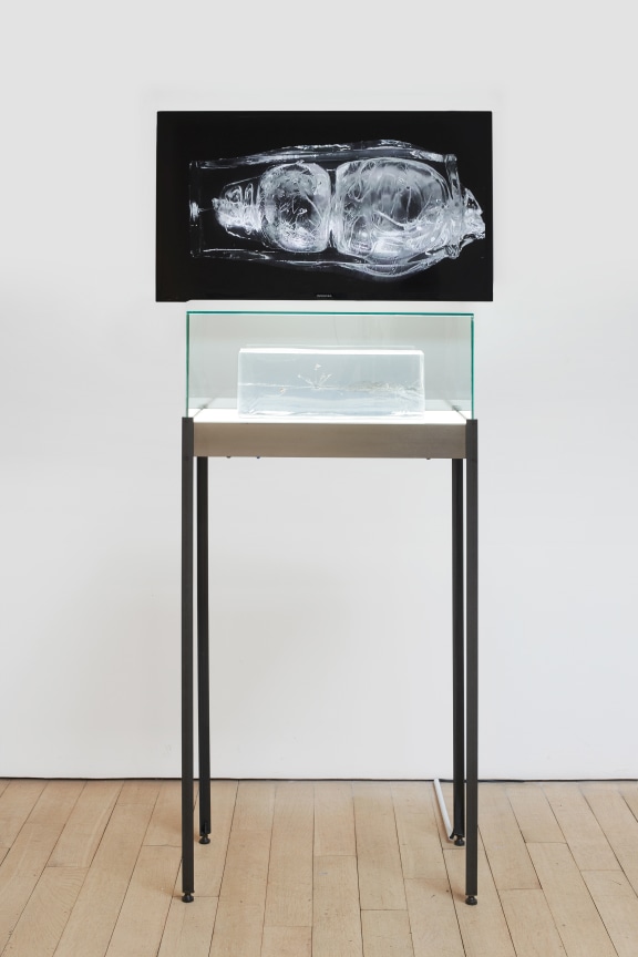 ballistic gel encased in glass with a video of it getting shot in the background