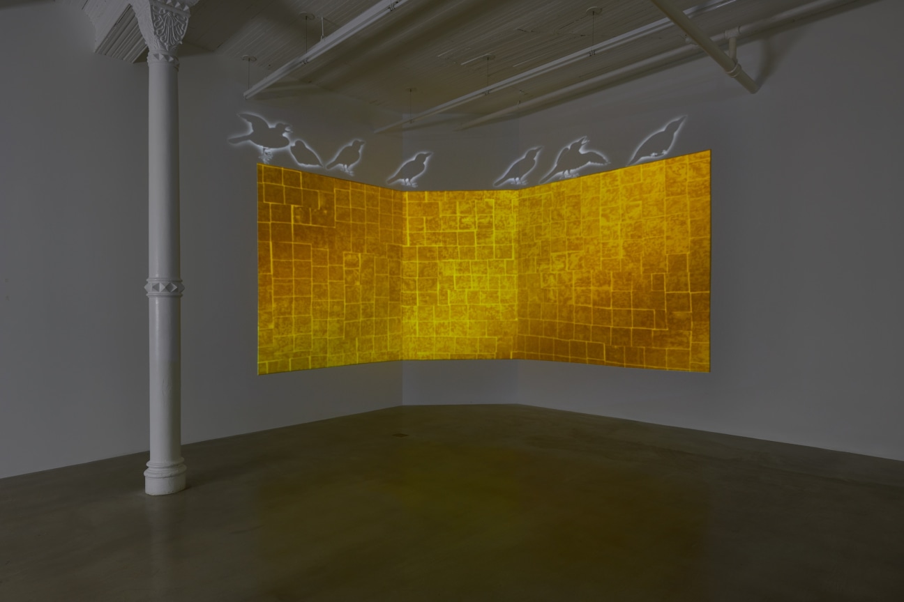 Installation view of Tabaimo's animated video