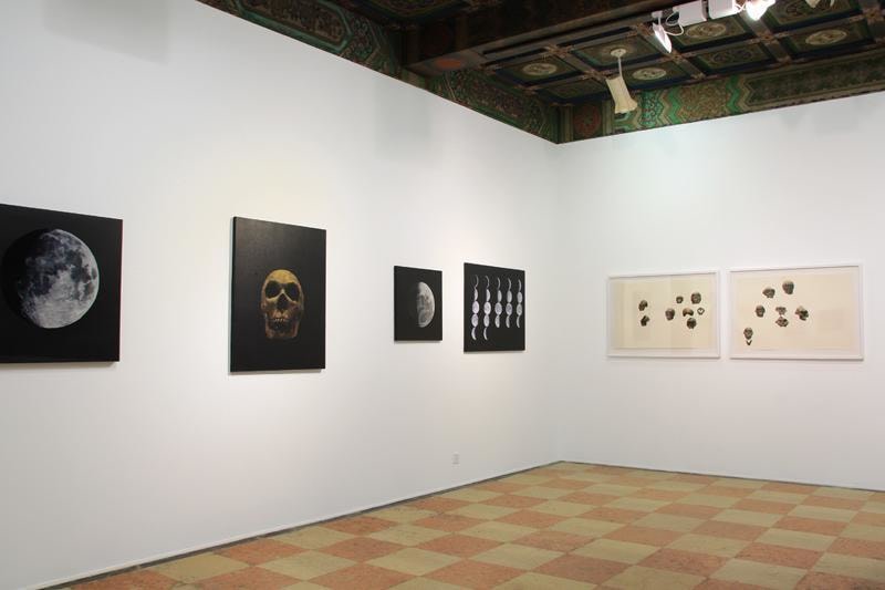 installation view
