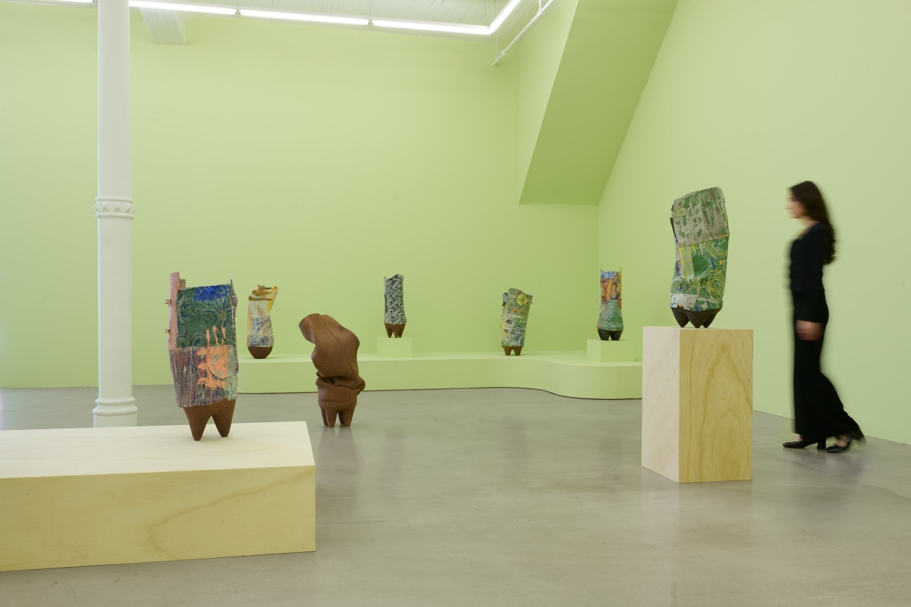 Installation view, Ranti Bam,&nbsp;Anima, James Cohan, 291 Grand St, New York, NY, May 17 - July 26, 2024