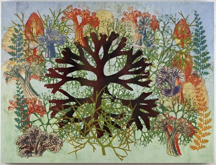Image of PHILIP TAAFFE's 菲利普&bull;塔菲 After Alcyonaria I 根据八射珊瑚所作I, 2011