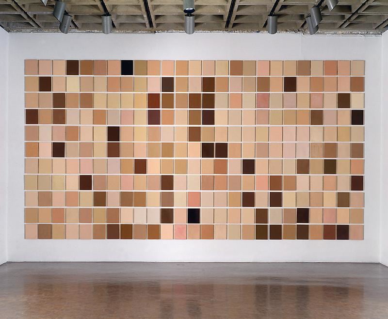 An ongoing project of portraiture comprises more than four hundred panels, each a single hue ranging from light tan or pink to dark brown.