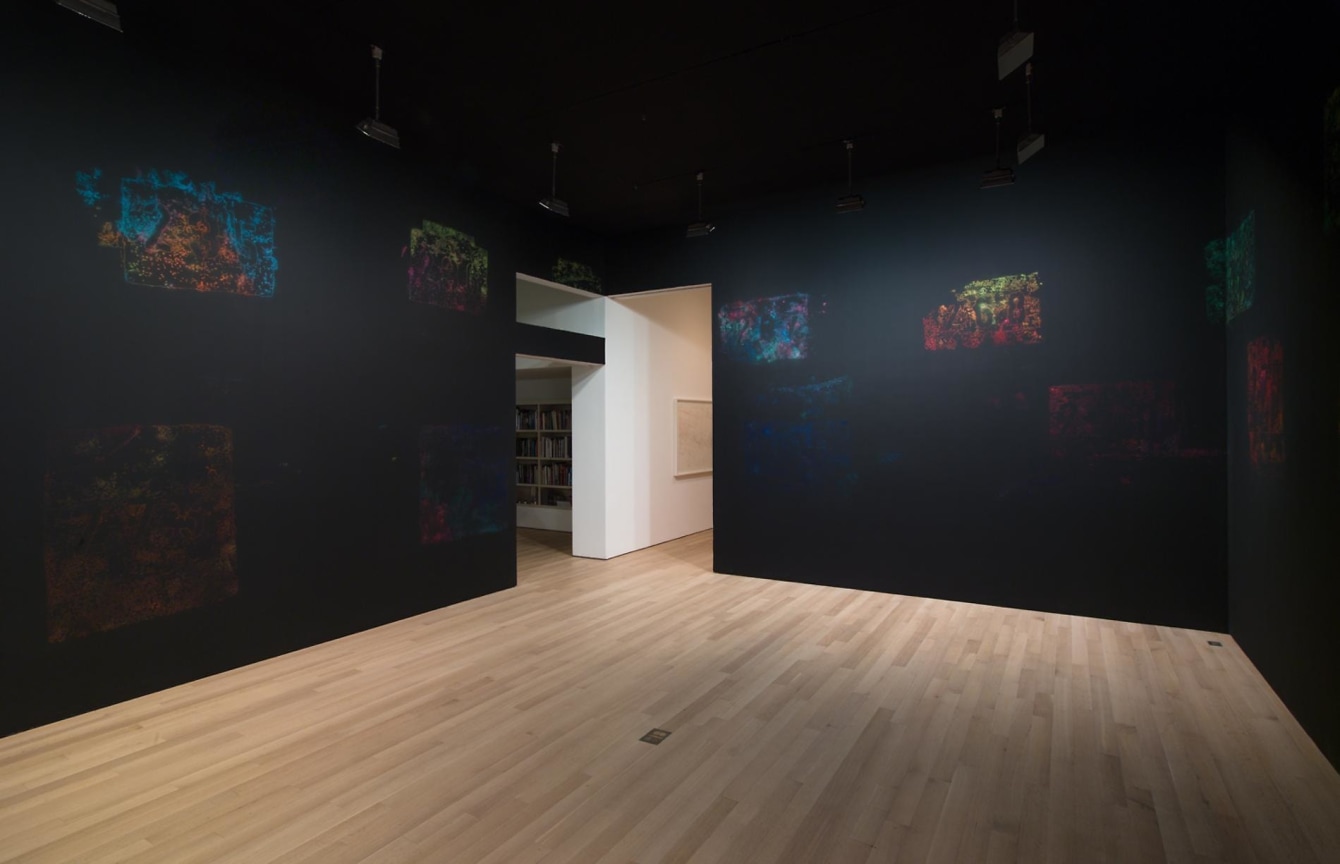 Installation view of wall art