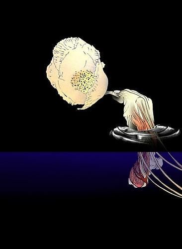 Still image of Tabaimo's Blow