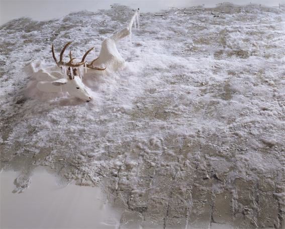 a deer blending seamlessly with the snow on the floor