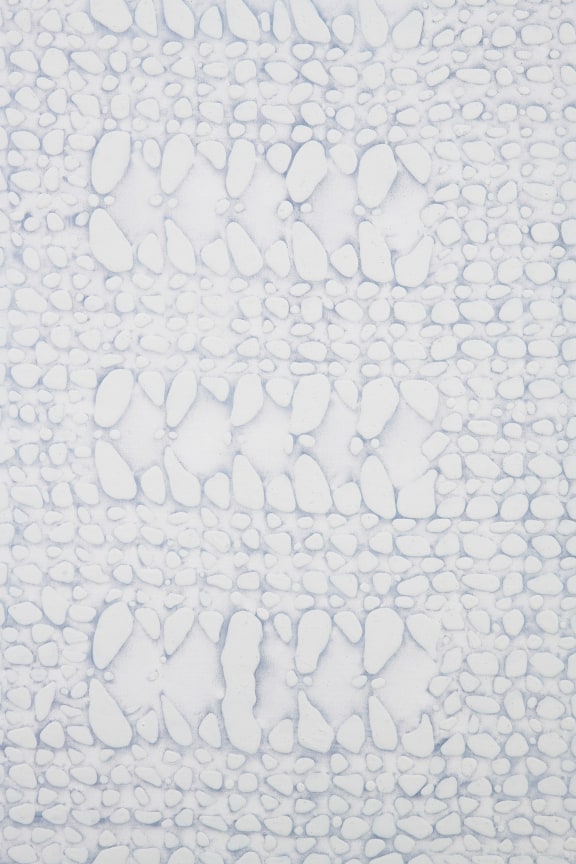 detail of  a rough, scaly surface