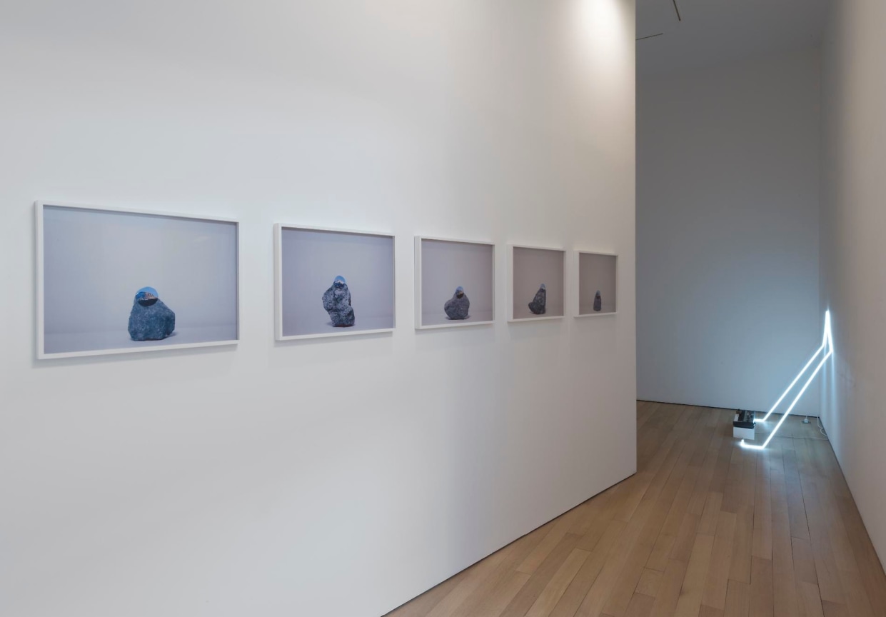installation view of several artworks