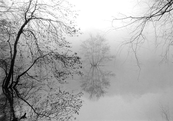 MARK STEINMETZ Sandy Creek, Athens, GA, 2001