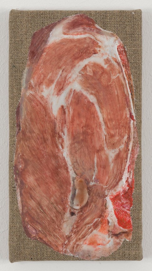realistic piece of meat