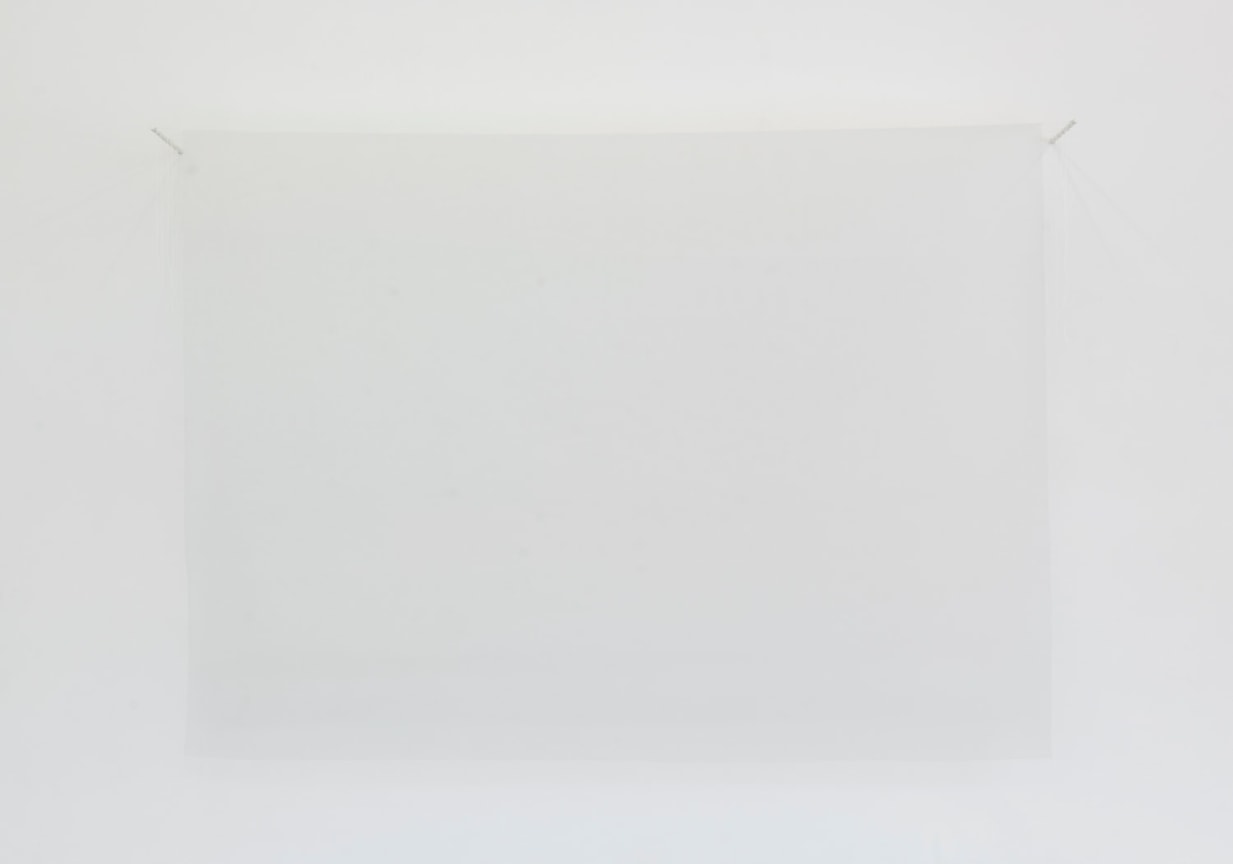 Image of SPENCER FINCH's Usuyuki III (I must go in, the fog is rising), 2021