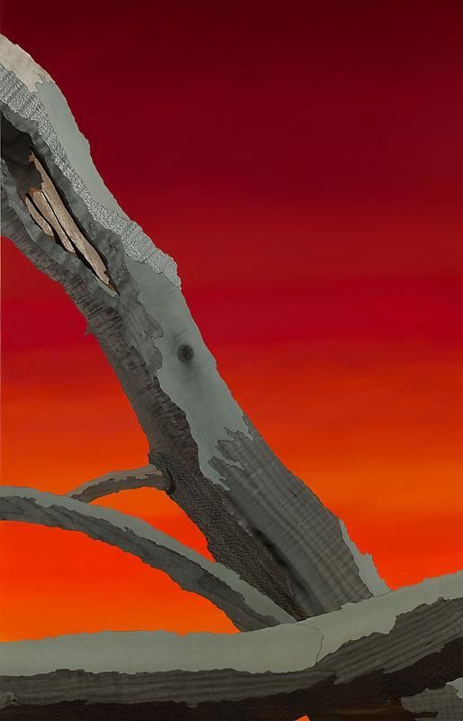 Detail of ALISON ELIZABETH TAYLOR's Medusa, 2013