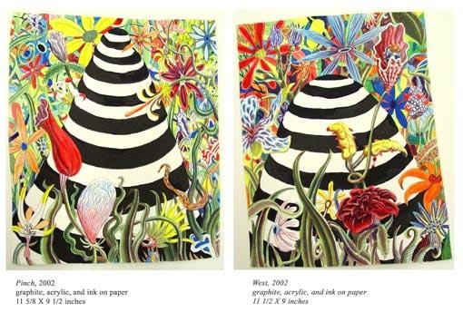 striped mounds surrounded by flowers