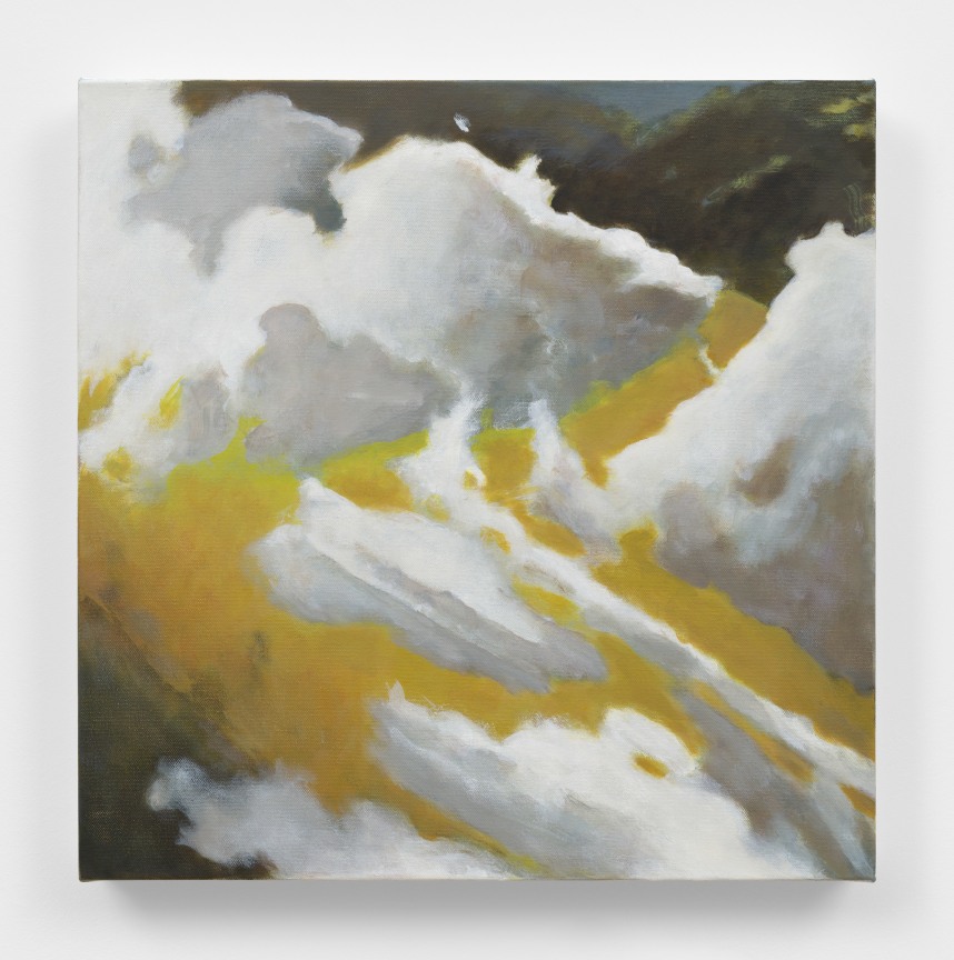 Image of JUDITH BELZER's Not If #22, 2023