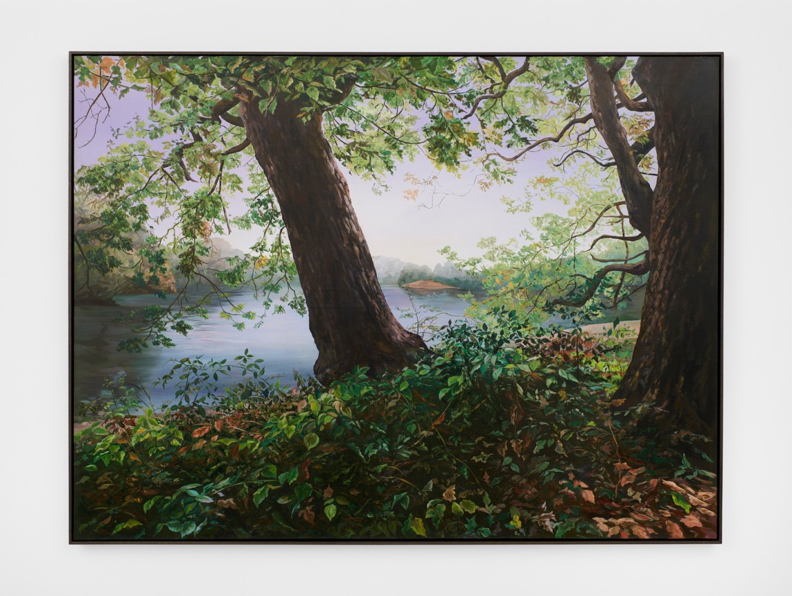 Image of HANNAH BROWN's Hollow Pond 1, 2022-23