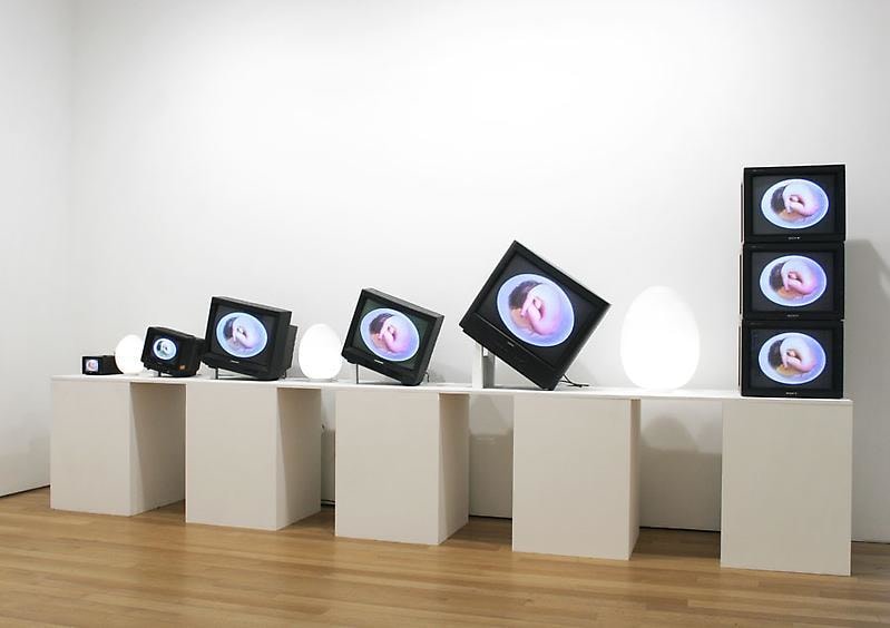 installation view