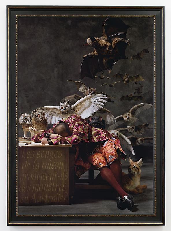 man fallen asleep at his desk with owls and bats emerging from behind