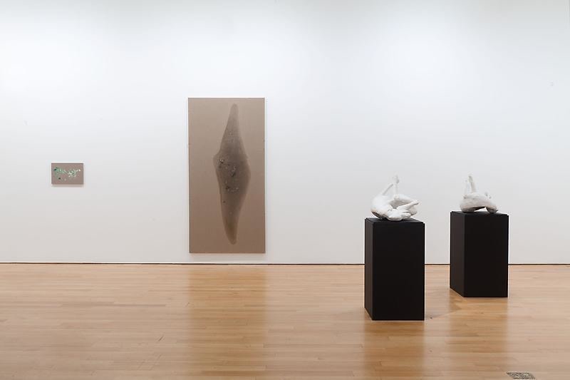 installation view of several artworks
