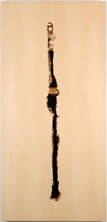 Image of ALISON ELIZABETH TAYLOR's Wires Ripped,&nbsp;2009 &ndash; 2010