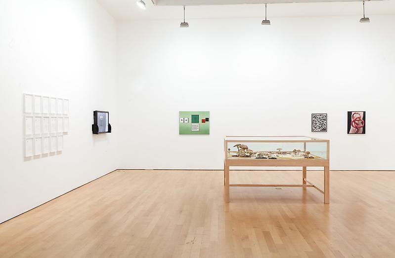 Installation view of several artworks