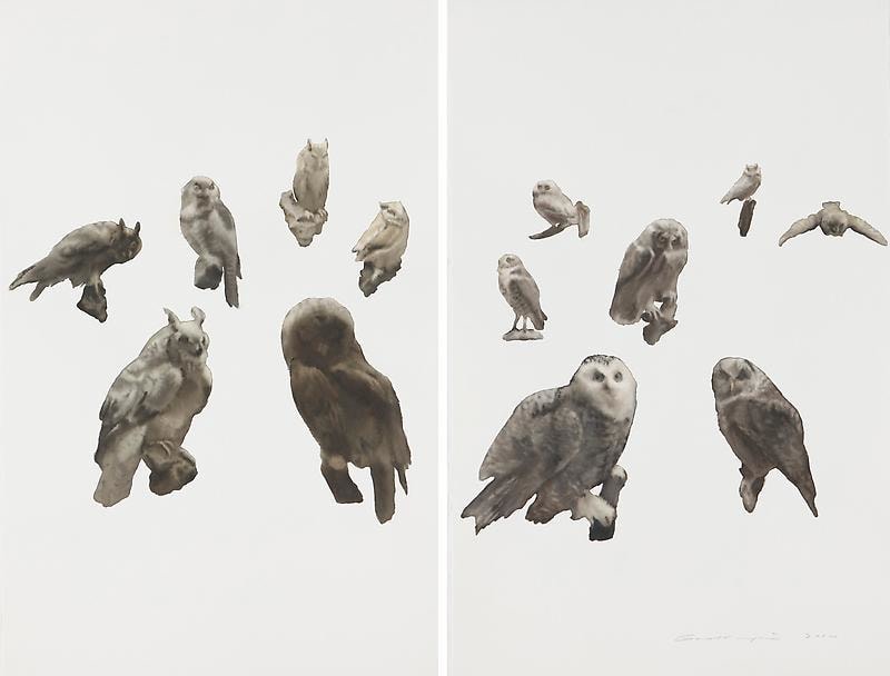 Image of GUO HONGWEI's 郭鸿蔚 Still Life #6 生物 #6, 2010