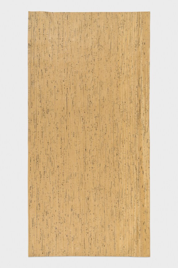 Image of RONNY QUEVEDO's measures of a dream deferred (north and south look the same from the equator), 2022