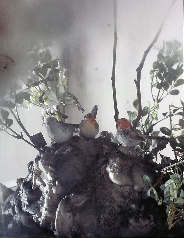 MANFREDI BENINATI Untitled, 2007