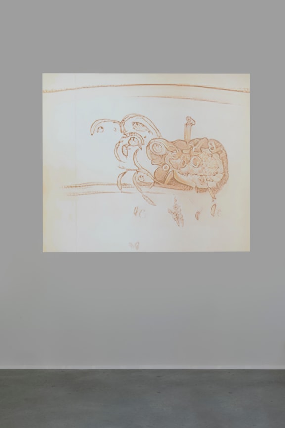 photograph of a flickering sepia-toned video projection on a wall of a digital animation work by Matthew Ritchie created with GANS technology resembling a blooming outer space flower or creature