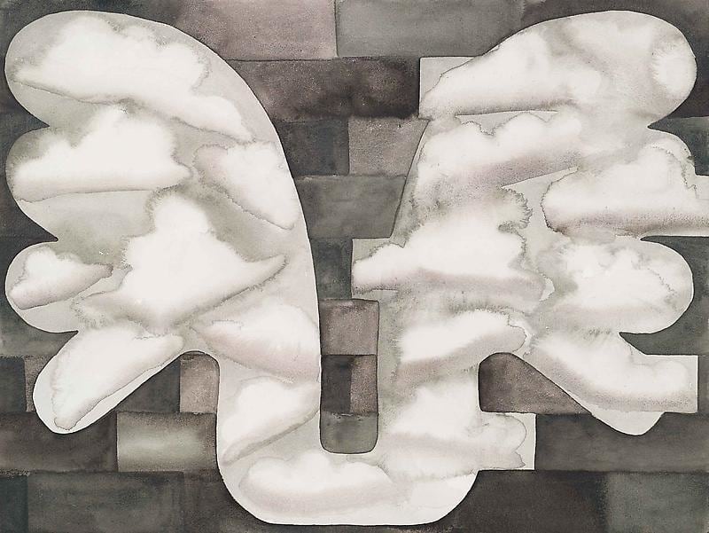 wings with a cloud pattern