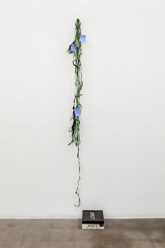 Image of RICHARD HAWKINS's Scalp 13, (Remember the wonderful days when &ldquo;identity&rdquo; encompassed &ldquo;fluidity&rdquo;?) 2012