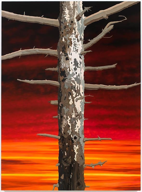 Image of ALISON ELIZABETH TAYLOR's Sebastian II, 2013