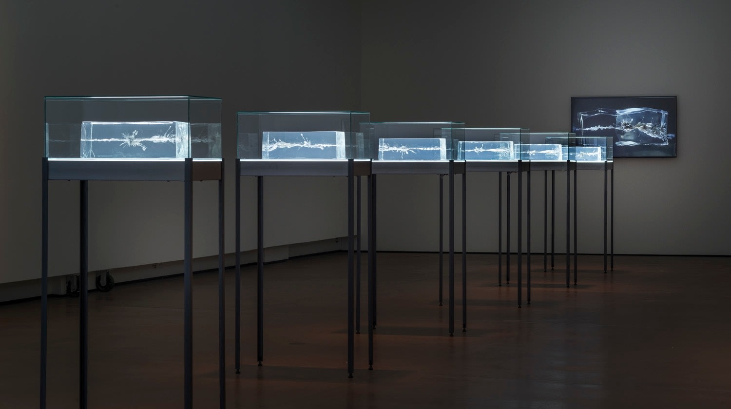 installation view of the propeller group's AK-47 vs. M16, 2015