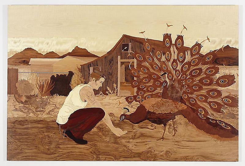 man feeding a male peacock