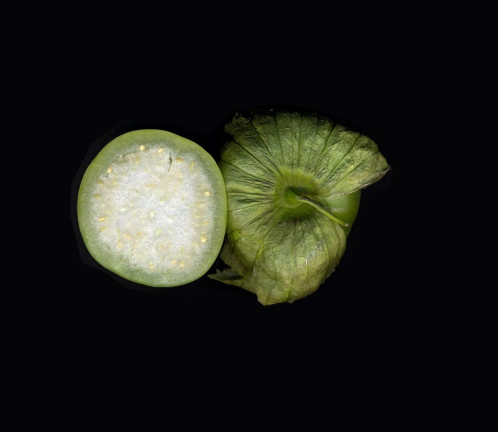 LOS JAICHACKERS (Eamon Ore-Giron &amp;amp; Julio C&eacute;sar Morales), Night Shade/Solanaceae (still), 2013