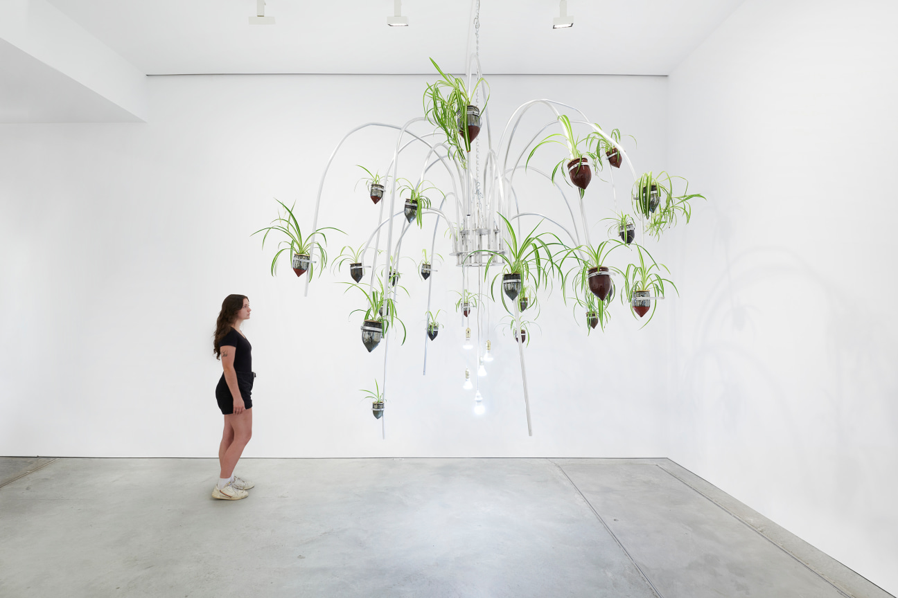 person looking at an artwork hanging from the ceiling