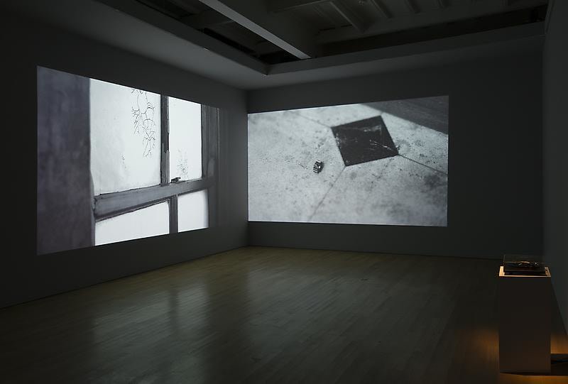 two video projections