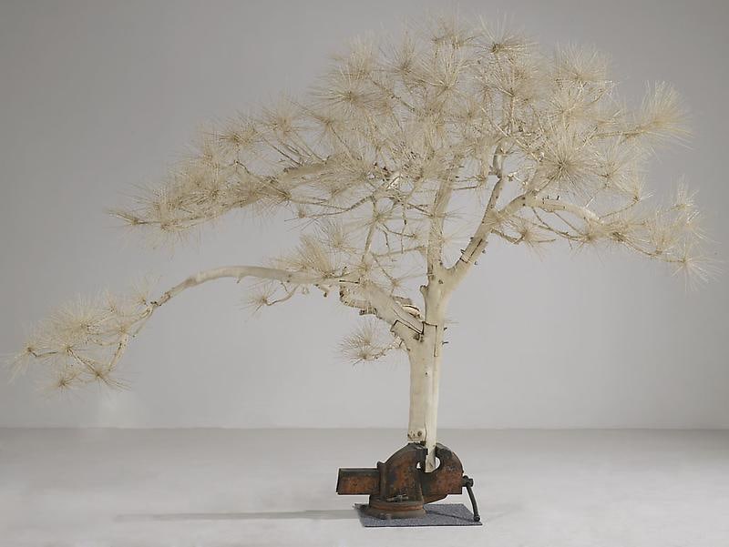SHI JINSONG Short Pine Tree, 2007