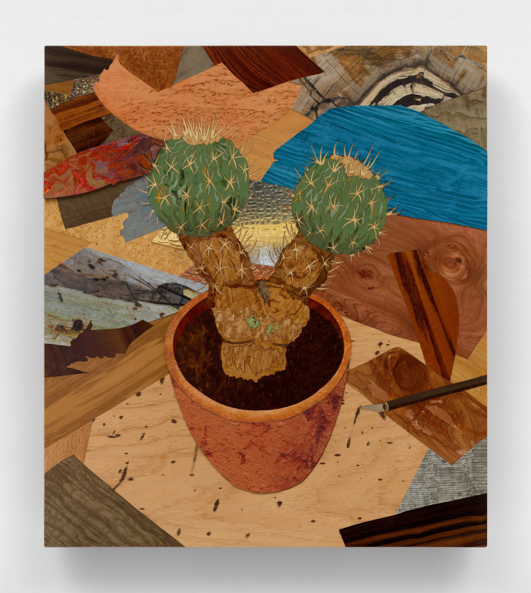 Image of ALISON ELIZABETH TAYLOR's Decision Fatigue, 2022