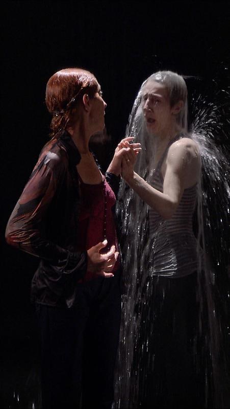 Image of BILL VIOLA's Visitation, 2008
