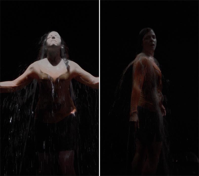Image of BILL VIOLA's 比尔&bull; 维奥拉 Melina 梅丽娜, 2008